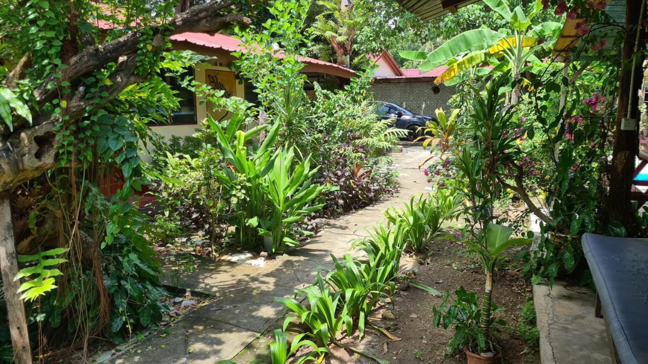 Gecko Guesthouse Pantai Cenang  Eksteriør bilde