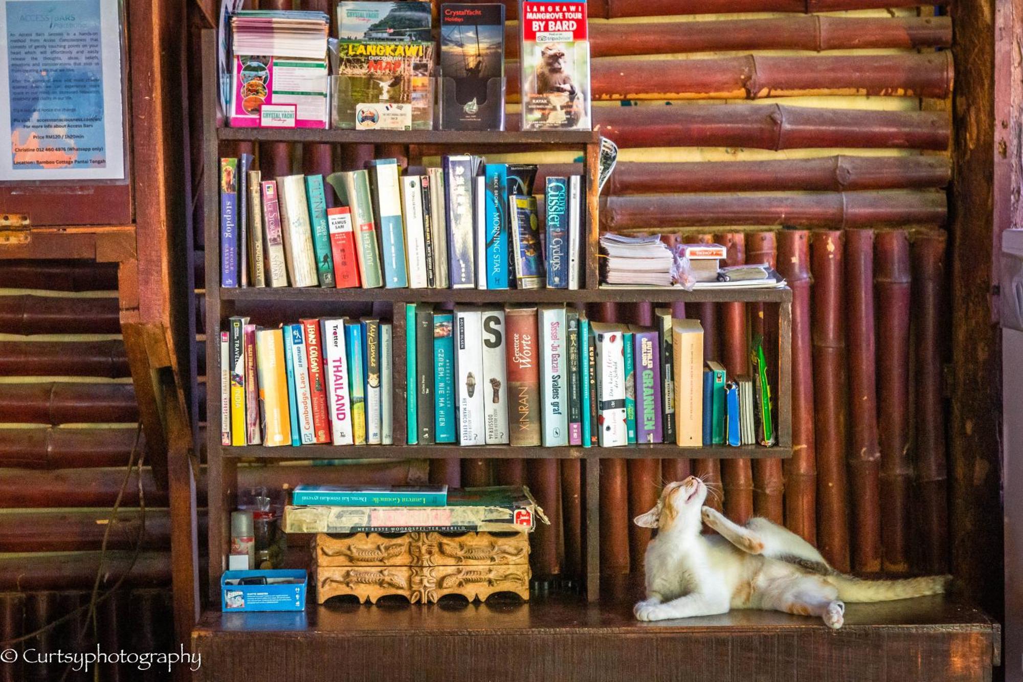 Gecko Guesthouse Pantai Cenang  Eksteriør bilde