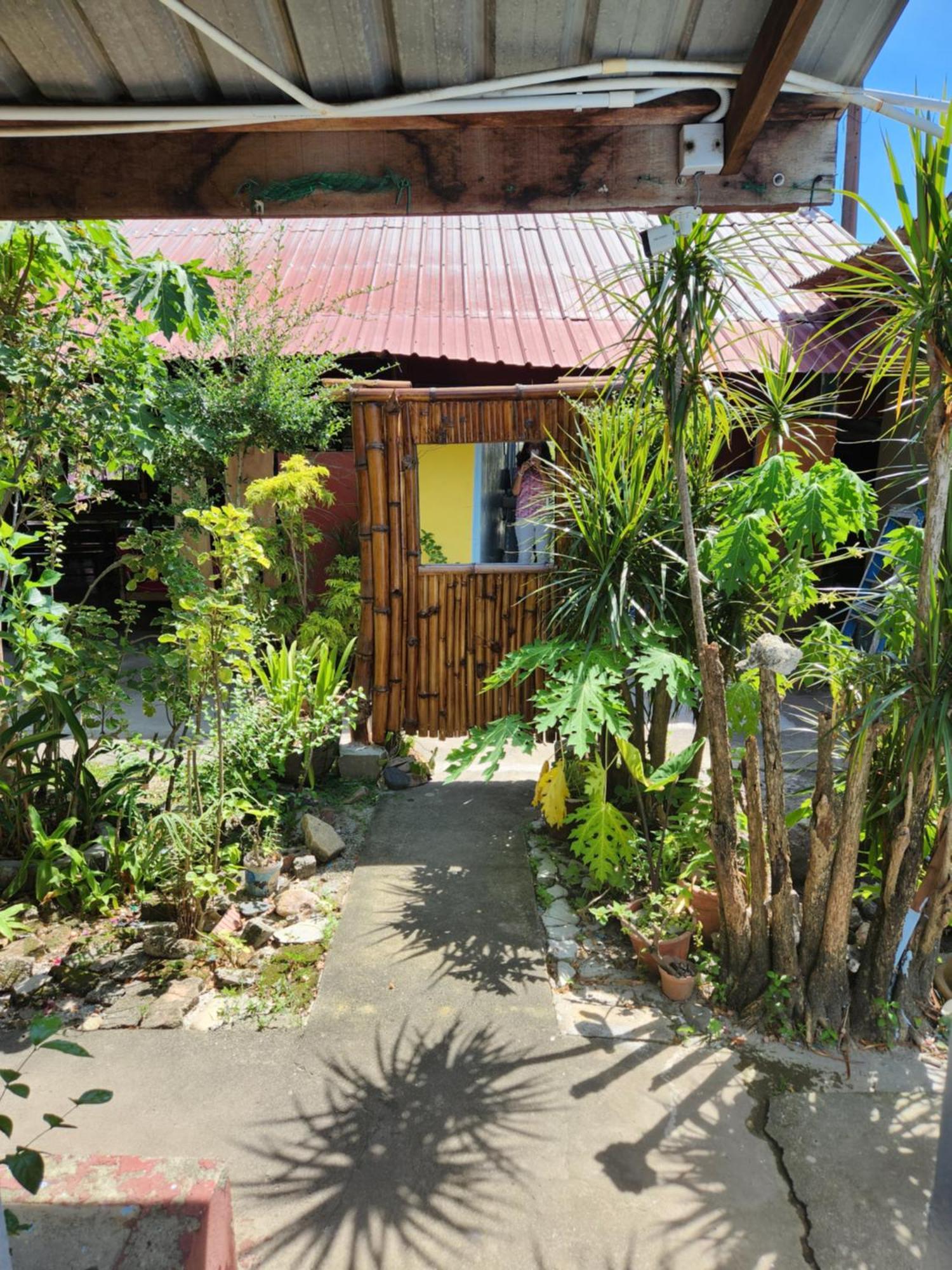 Gecko Guesthouse Pantai Cenang  Eksteriør bilde