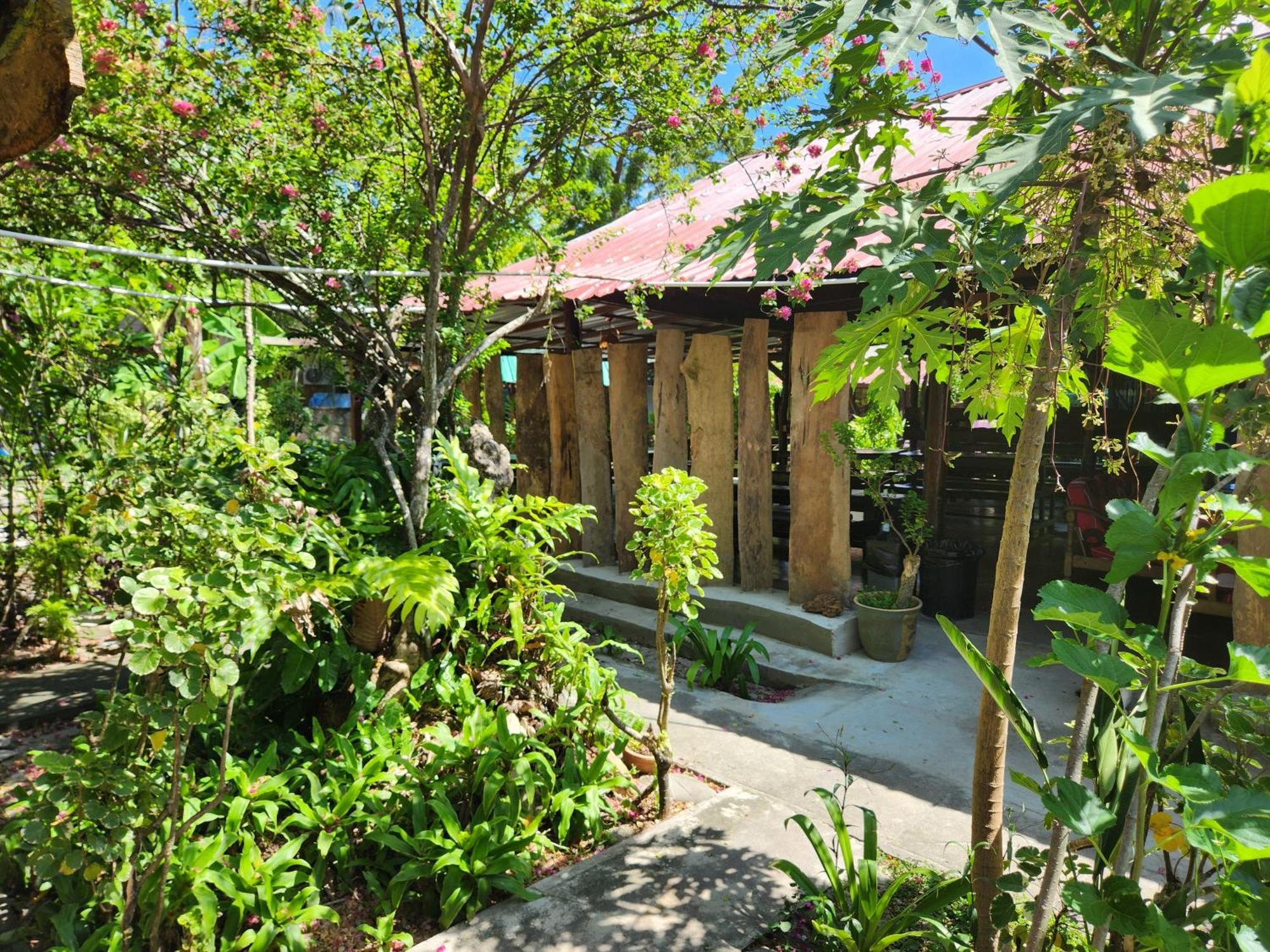 Gecko Guesthouse Pantai Cenang  Eksteriør bilde