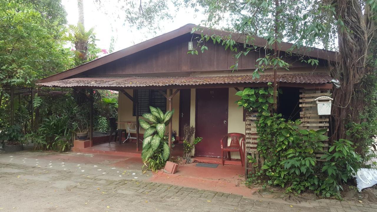 Gecko Guesthouse Pantai Cenang  Eksteriør bilde